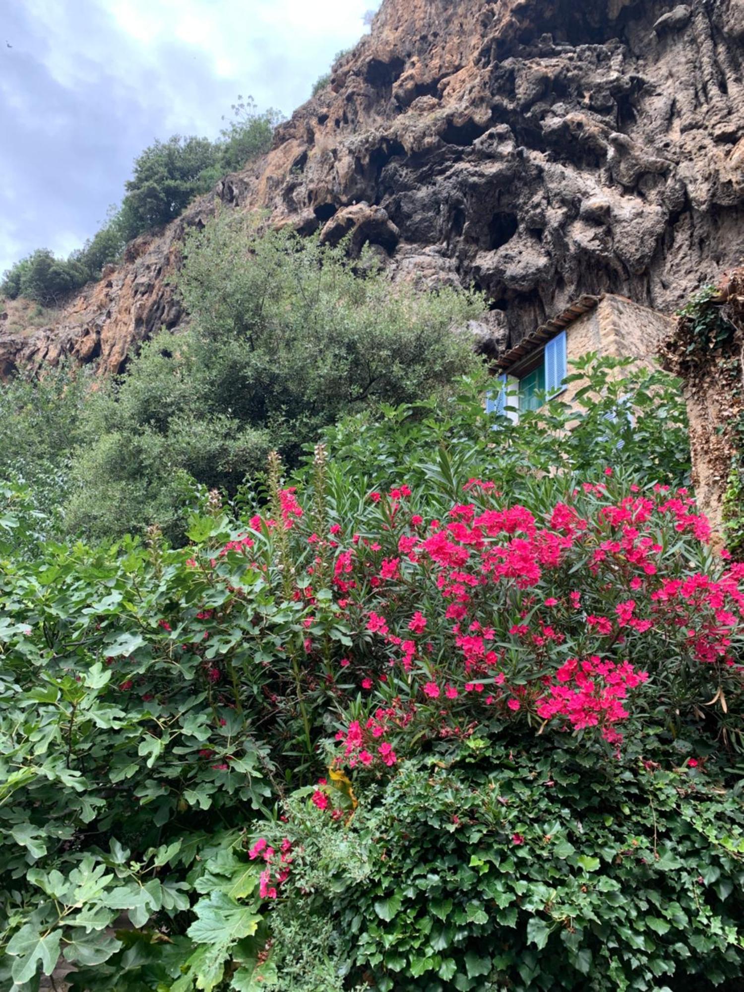 فيلا Tivoli En Provence كوتيغانس المظهر الخارجي الصورة