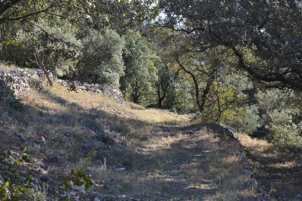 فيلا Tivoli En Provence كوتيغانس المظهر الخارجي الصورة